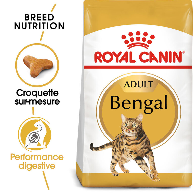 Royal Canin - Croquettes Bengal pour Chat Adulte - 2Kg Image numéro 1 Royal Canin - Croquettes Bengal pour Chat Adulte - 2Kg Image numéro 1