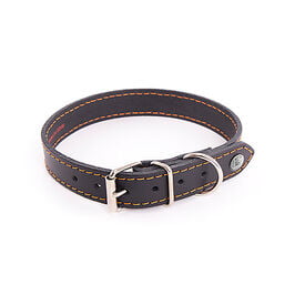 Martin Sellier - Collier Flash Noir/Orange pour Chiens