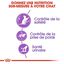 Royal Canin - Croquettes Sterilised Appetite Control pour Chat Stérilisé - 10 Kg Indicateur image numéro 4