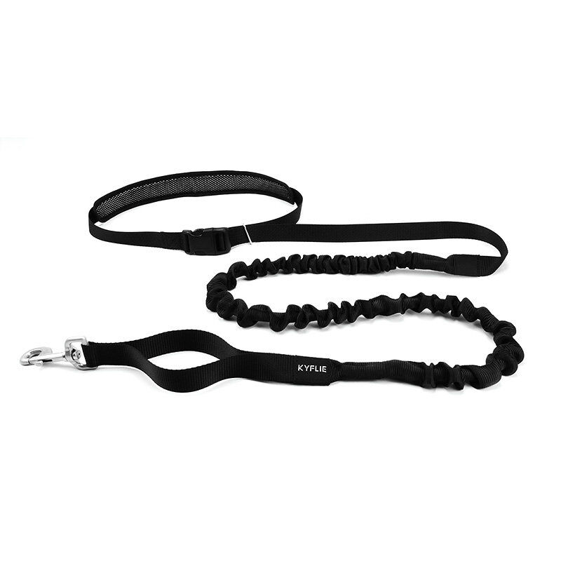 Kyflie - Laisse Ceinture &eacute;lastique Anti-chocs OTIUM Noir pour Chien - 2,90m Image num&eacute;ro 1
