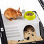 Ferplast - Cage Casita 100 pour Grands Rongeurs - 96cm Indicateur image numéro 6