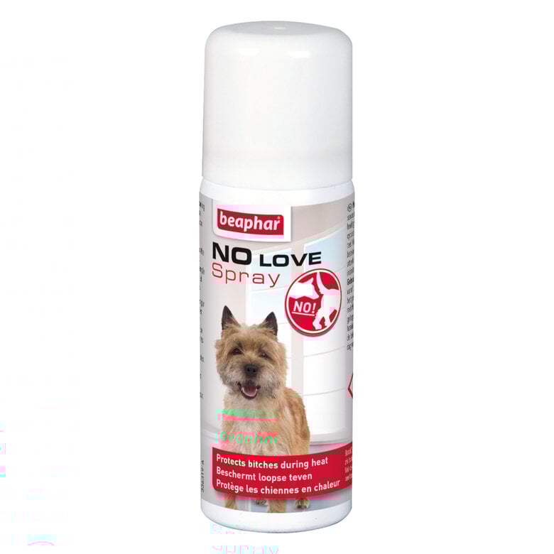 Beaphar - NO LOVE Spray, protège les chiennes en chaleur - 50 ml Image numéro 1 Beaphar - NO LOVE Spray, protège les chiennes en chaleur - 50 ml Image numéro 1