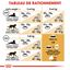 Royal Canin - Croquettes British Shorthair pour Chat Adulte - 2Kg Indicateur image numéro 7