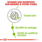Royal Canin - Croquettes X-Small Adult pour Petits Chiens - 3Kg image number null