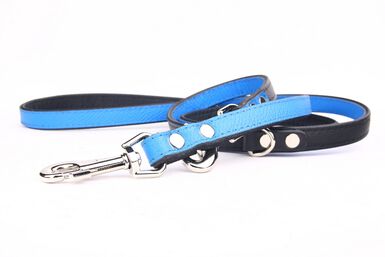 Yogipet - Laisse Ajustable pour Chien Bleu