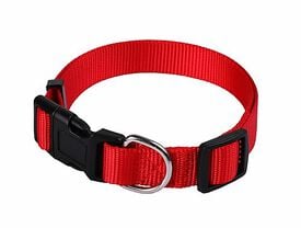 Animalis - Collier Basic pour Chien Rouge