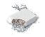 Aquatlantis - Masse de Filtration B-BOX- Bact Life-Taille S Indicateur image numéro 2