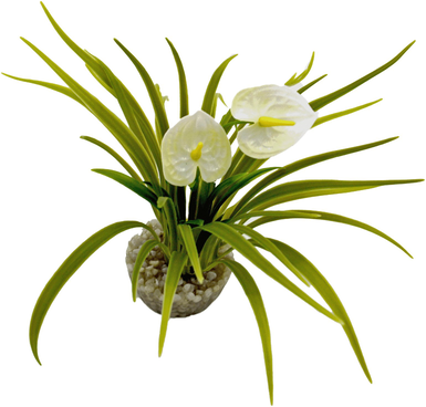 Labeo - Buisson fleur anthurium blanc - Plante Artificielle Aquarium