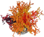 Labeo - Corail coloré - Plante Artificielle Aquarium Indicateur image numéro 1