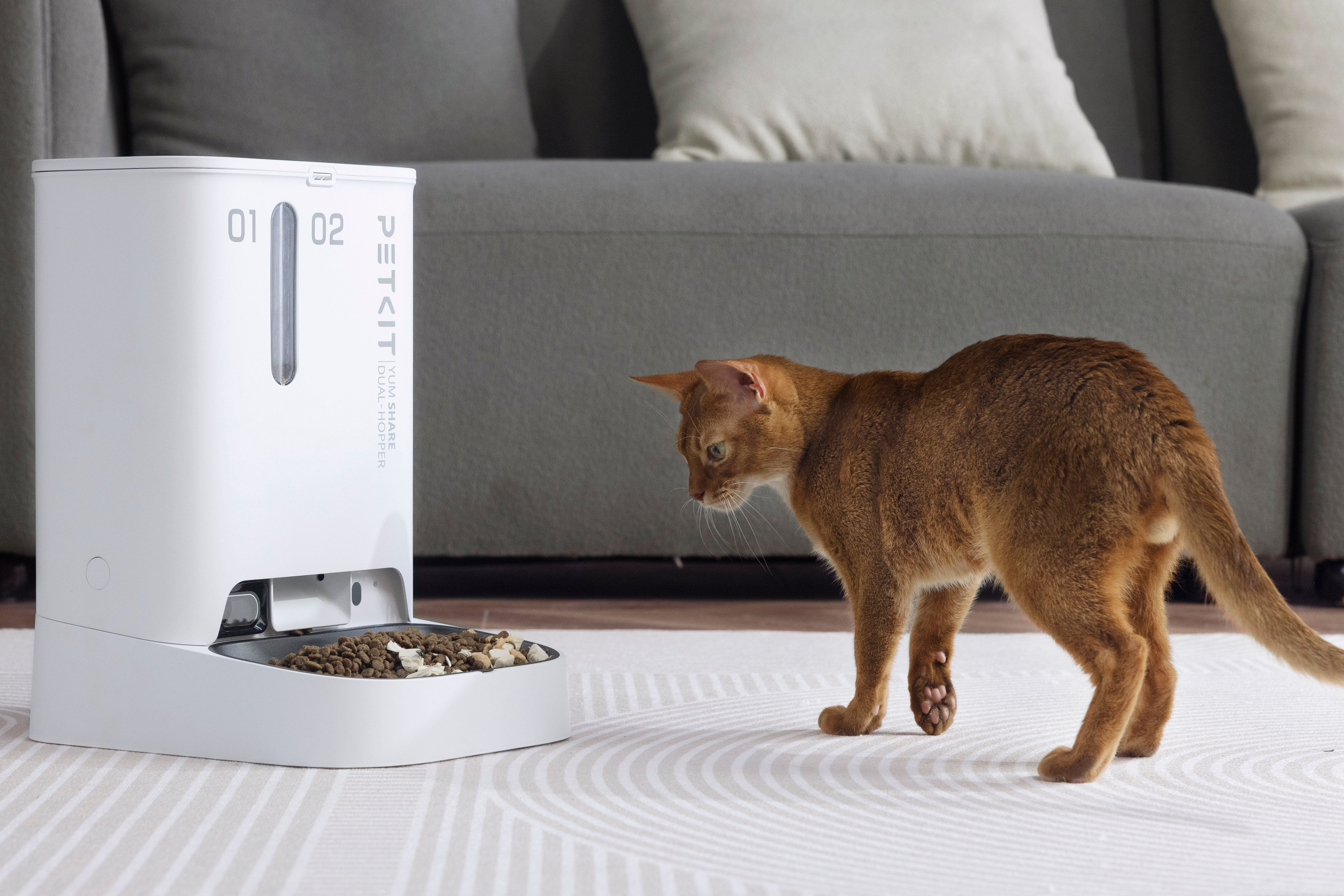 Petkit - Distributeur de Croquettes Double YumShare Dualhopper Connect&eacute; avec Cam&eacute;ra - 5L Image num&eacute;ro 7