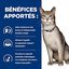 Hill's - Croquettes Prescription Diet K/D Kidney Care au Poulet pour Chats - 3Kg Indicateur image numéro 4