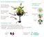 CocoPlant - Filtration Naturelle Coco30 pour Aquarium Indicateur image numéro 5