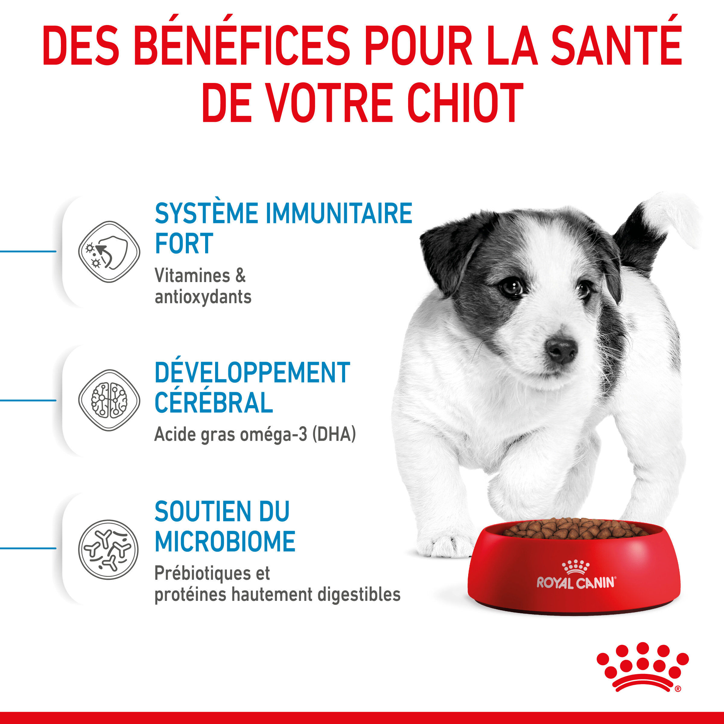 Royal Canin - Croquettes Mini Puppy pour Chiot - 4Kg Image num&eacute;ro 5
