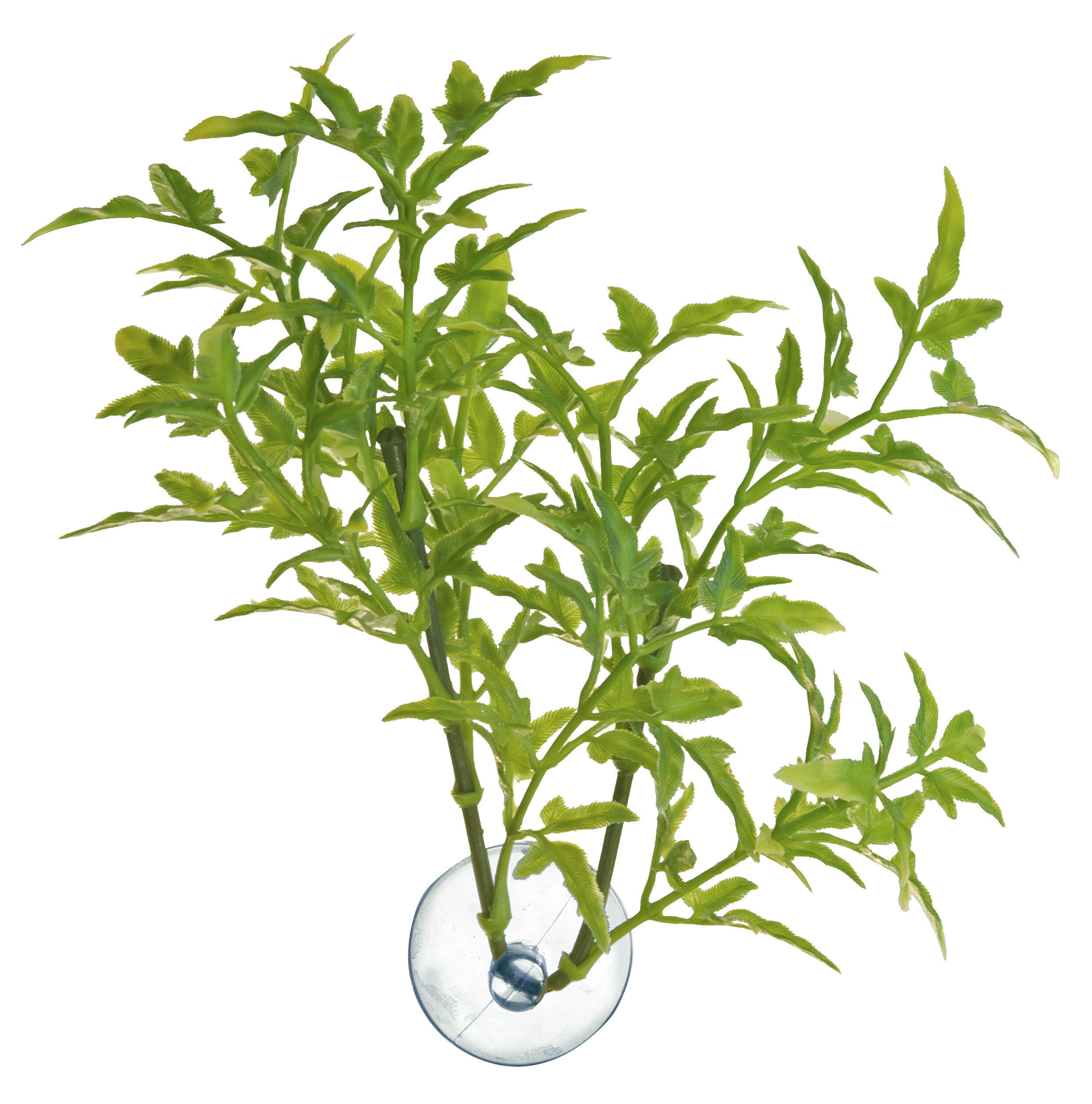 Zoomed - Plante artificielle avec ventouse pour aquarium - Maple leaf Image num&eacute;ro 2