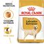 Royal Canin - Croquettes Labrador pour Chiens Adultes de plus de 15 Mois - 12Kg Indicateur image numéro 1