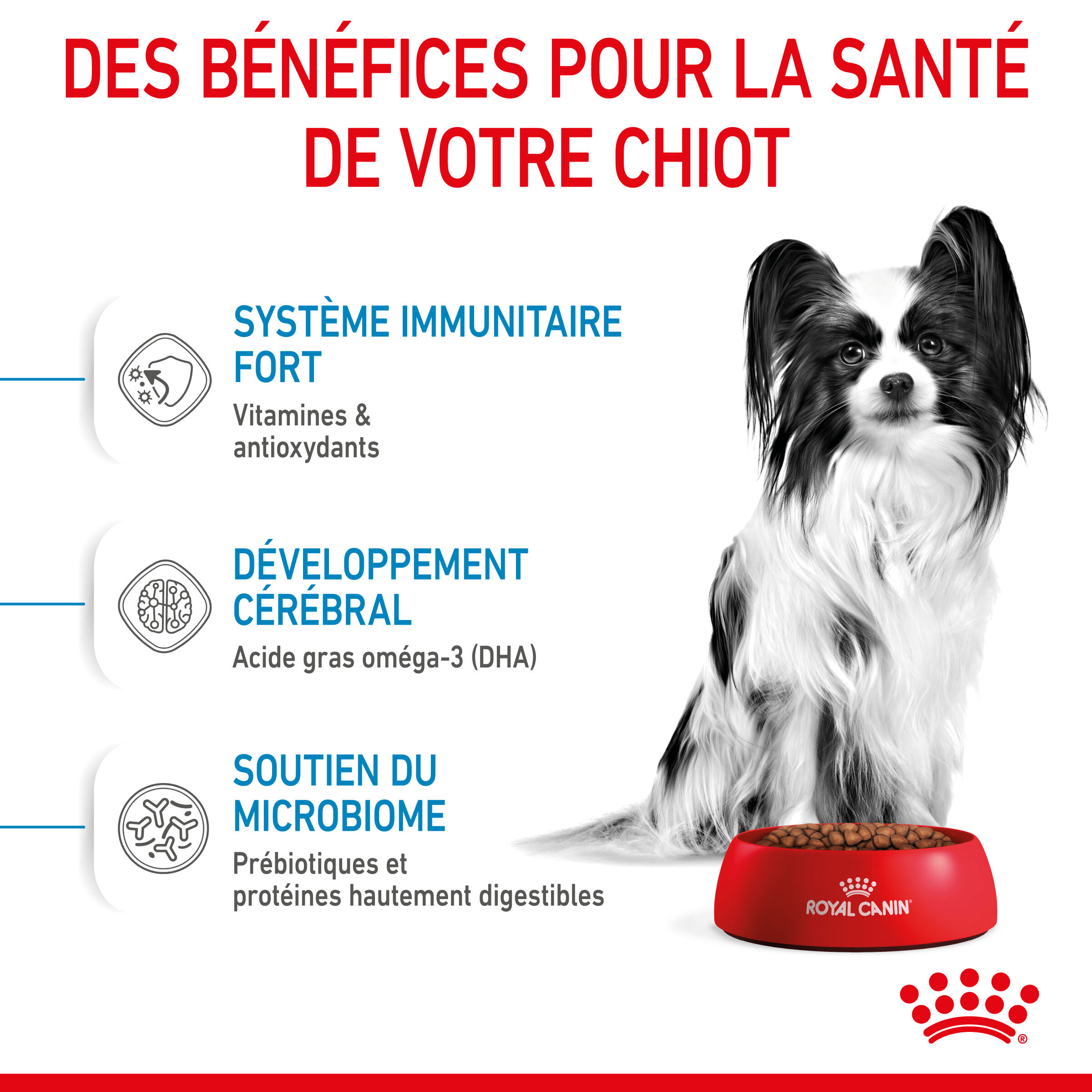 Royal Canin - Croquettes X-Small Puppy pour Chiots de 2 &agrave; 10 Mois - 500g Image num&eacute;ro 4
