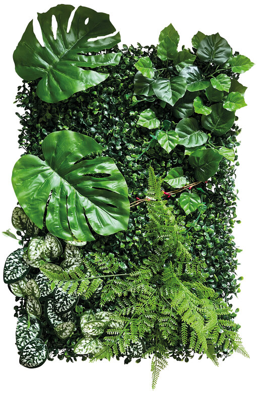 Repto - Décoration Repto Plant Back Wall Mat 40-60 Cm 2 Image numéro 2 Repto - Décoration Repto Plant Back Wall Mat 40-60 Cm 2 Image numéro 2