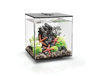 biOrb - Aquarium Cube - 30 mcr noir