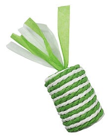 Animalis - Jouet Cylindre Sisal Vert pour Chat - 12cm