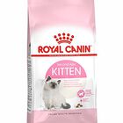 Royal Canin - Croquettes Kitten pour Chaton image number null