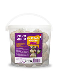 Paradisio - Boules de Graisse Insectes et Fruits pour Oiseaux des Jardins - x30