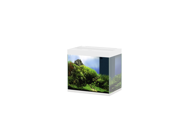 Ciano - Aquarium Emotions Nature Pro 60 - Blanc