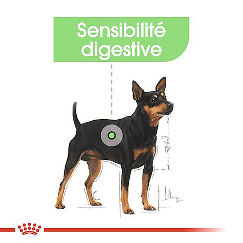 Royal Canin - Croquettes Mini Digestive Care pour Chien - 3Kg image number null