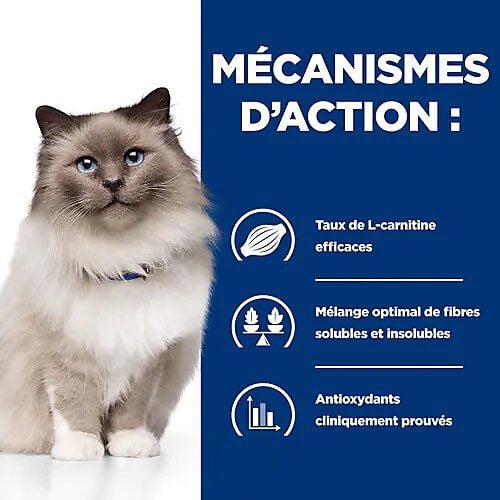Hill's - Croquettes Prescription Diet R/D Weight Loss pour Chats - 3Kg Image num&eacute;ro 4