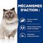 Hill's - Croquettes Prescription Diet R/D Weight Loss pour Chats - 3Kg Indicateur image numéro 4