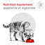 Royal Canin - Croquettes Veterinary Glycobalance Diabetic pour Chien - 12Kg Indicateur image num&eacute;ro 6