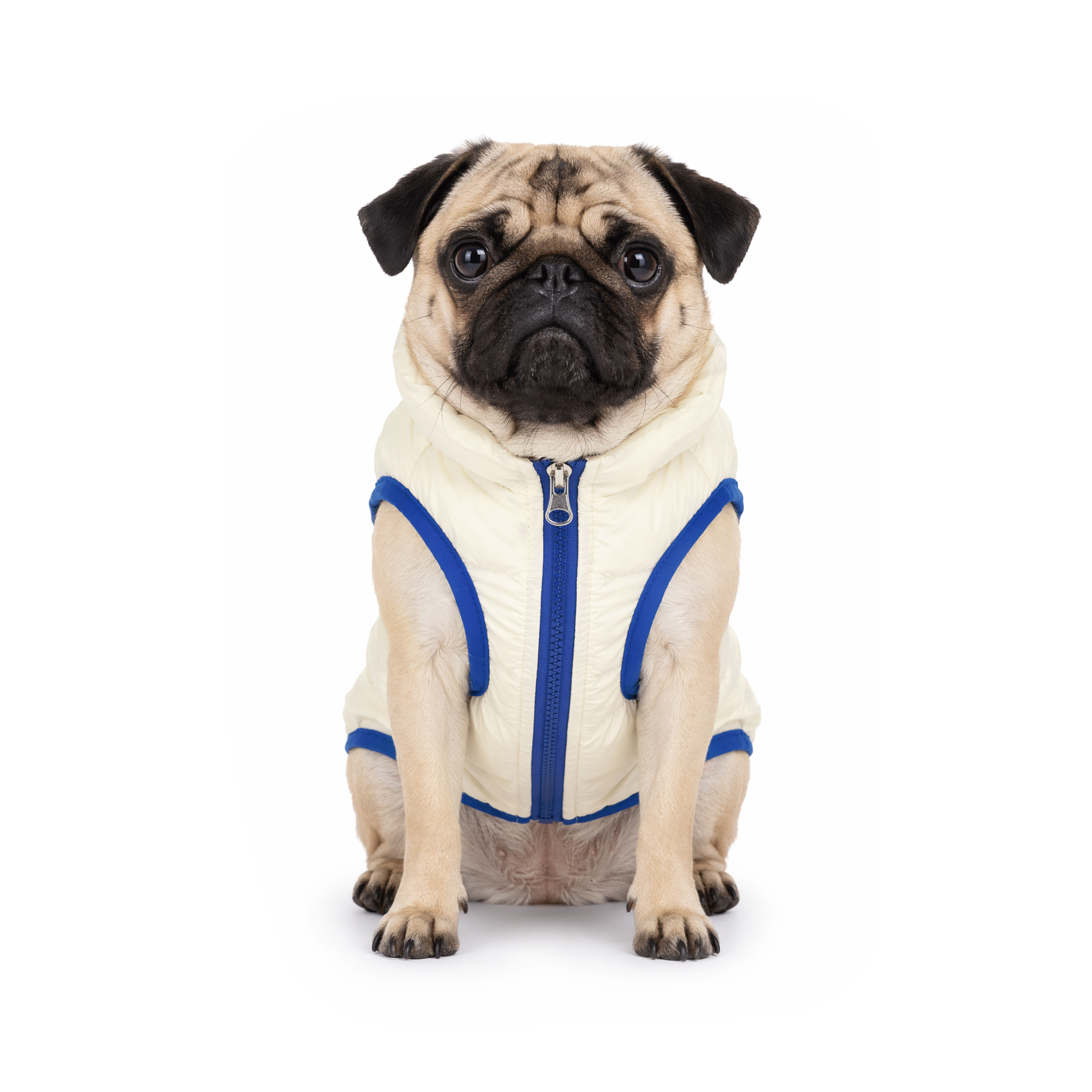 Gotoo - Manteau Deperlant et R&eacute;versible pour Chiens - 30cm Image num&eacute;ro 12