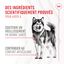 Royal Canin - Aliment complémentaire Adult Joint & Agieing Chews pour Chiens - 240g Indicateur image numéro 3