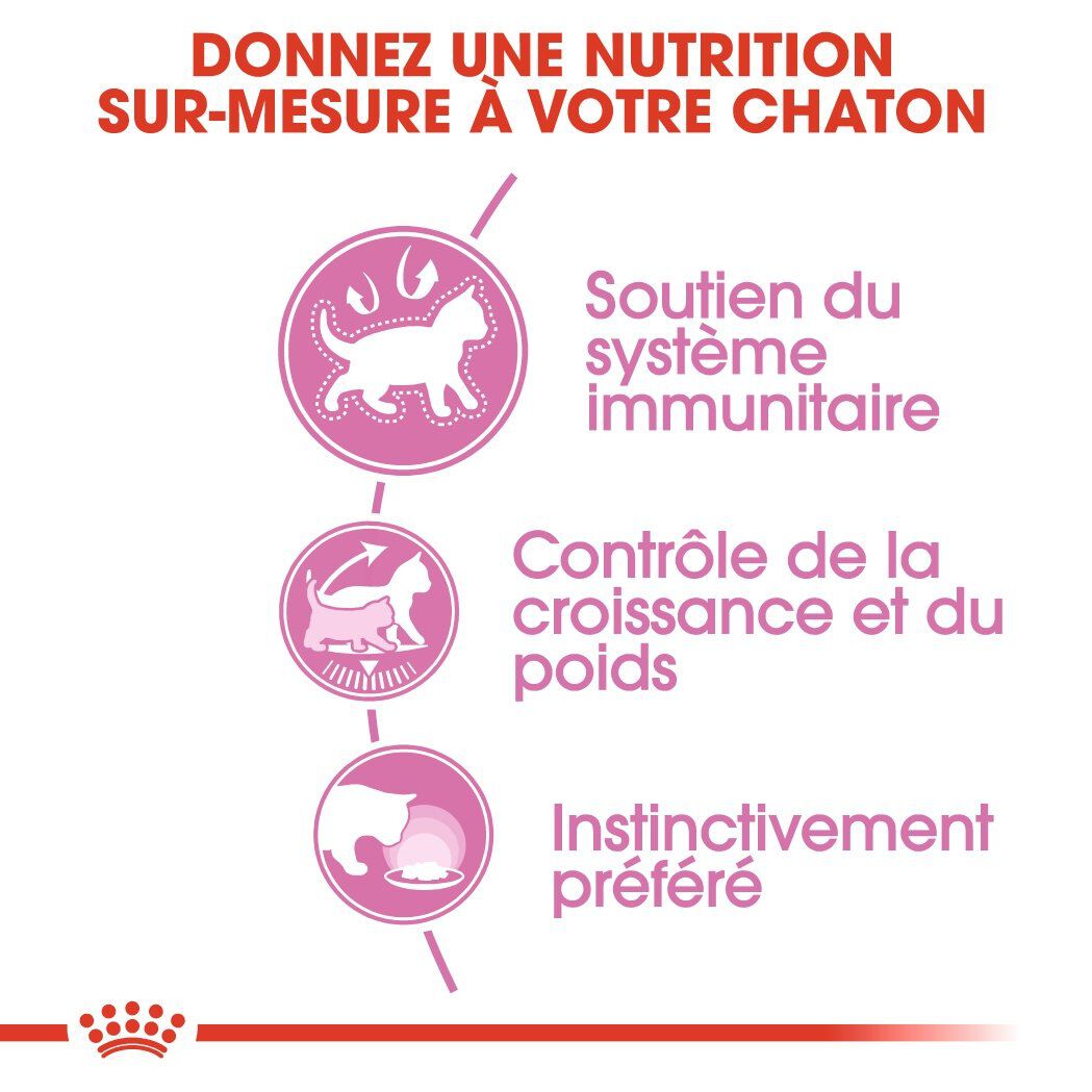 Royal Canin - Sachets Kitten Sterilised en Gel&eacute;e pour Chaton - 12x85g Image num&eacute;ro 4
