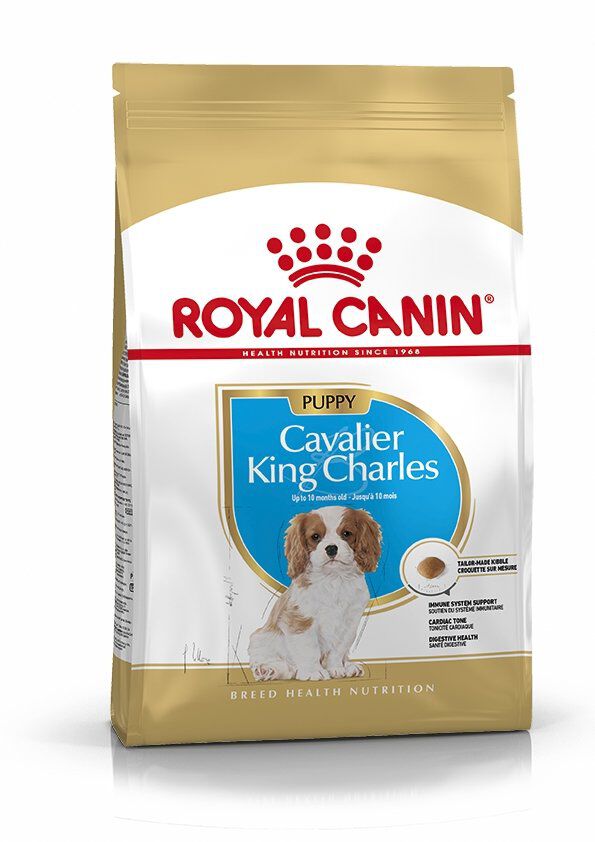 Royal Canin - Croquettes Cavalier King Charles Junior pour Chiot - 1,5Kg Image num&eacute;ro 2