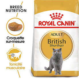 Royal Canin - Croquettes BRITISH SHORTHAIR ADULT Pour Chat
