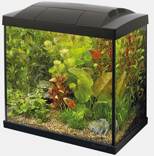 Superfish - Kit Aquarium Start 30 Tropical Noir - 27L Image num&eacute;ro 2