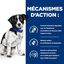 Hill's Prescription Diet- Croquettes Diet I/D Stress Digestive Care Mini pour Chiens - 3Kg Indicateur image numéro 4