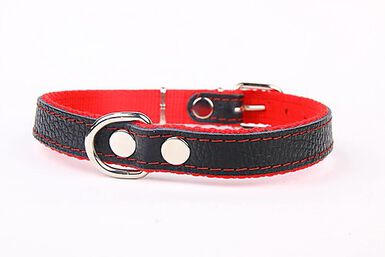 Yogipet - Collier Cuir et Nylon pour Chien - Rouge