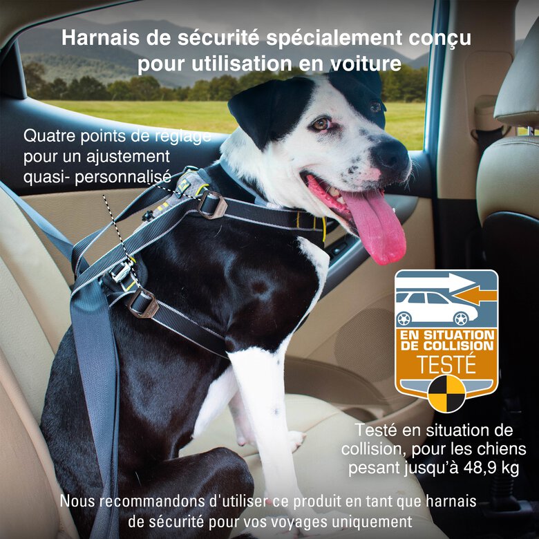 Kurgo - Harnais de Sécurité "Impact" Noir pour Chiens - L Image numéro 4 Kurgo - Harnais de Sécurité "Impact" Noir pour Chiens - L Image numéro 4