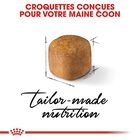 Royal Canin - Croquettes Maine Coon pour Chaton - 4Kg image number null