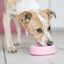 KONG - Jouet Pneu Puppy Tyres pour Chiots - M/L Indicateur image numéro 4