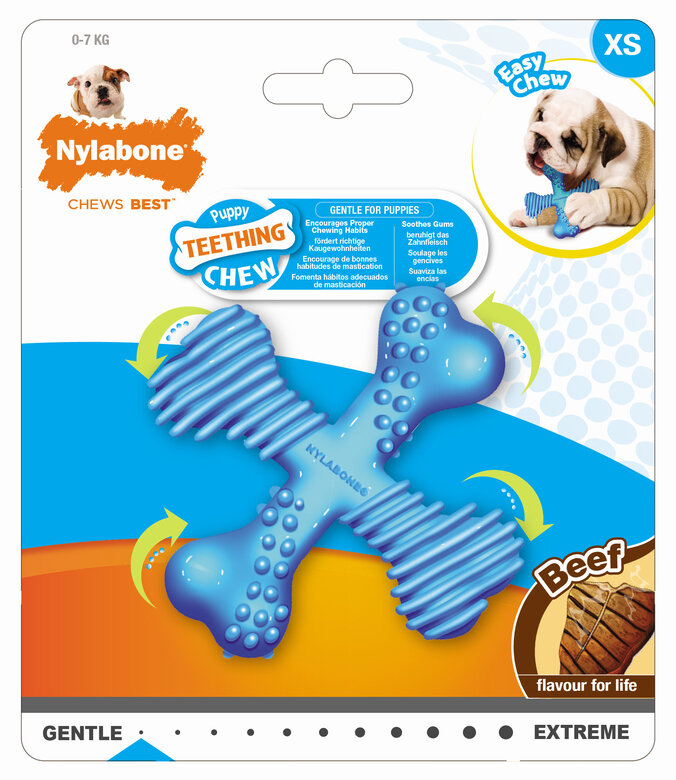 Nylabone - Jouet Puppy Teething Chew au Bœuf pour Chiots - XS image number null