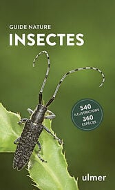 Insectes - Guide nature