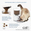 Catit - Distributeur de Nourriture Pixi Smart Wifi pour Chat - 1,2Kg Indicateur image numéro 2