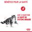 Royal Canin - Sachets Urinary Care en Sauce pour Chat - 12x85g Indicateur image numéro 6