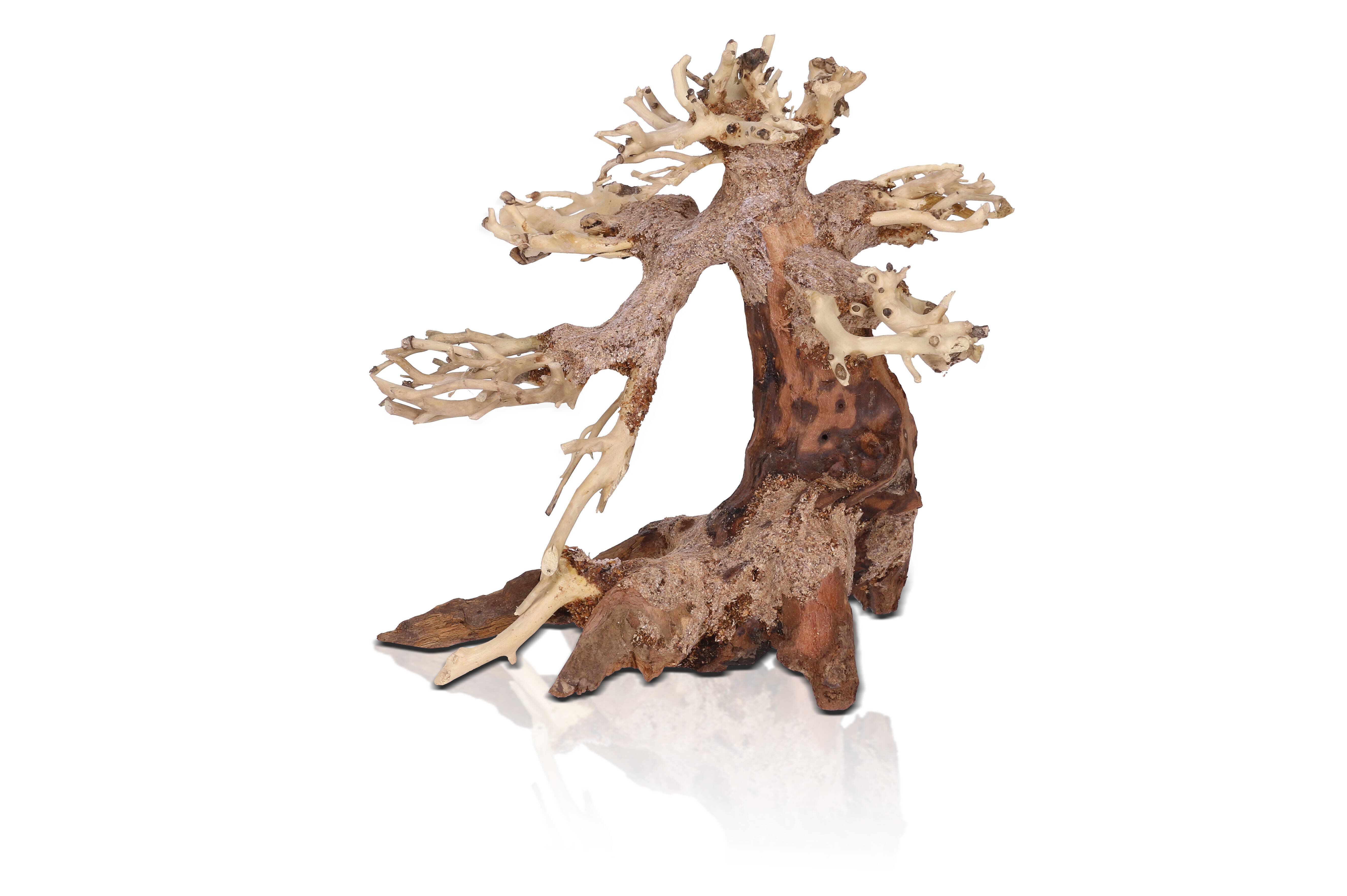 Aquavie - D&eacute;coration Bonsa&iuml; Nature pour Aquarium - XS Image num&eacute;ro 1