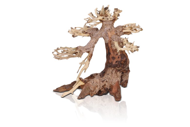 Aquavie - Décoration Bonsaï Nature pour Aquarium - XS Image numéro 1 Aquavie - Décoration Bonsaï Nature pour Aquarium - XS Image numéro 1