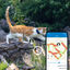 Tractive - Traceur GPS CAT 4 pour Chats - Bleu Indicateur image numéro 7