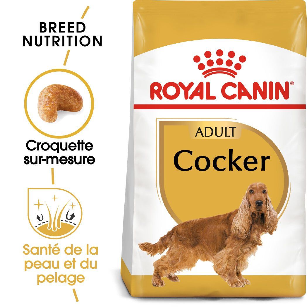 Royal Canin - Croquettes Cocker pour Chien Adulte - 12Kg Image num&eacute;ro 3