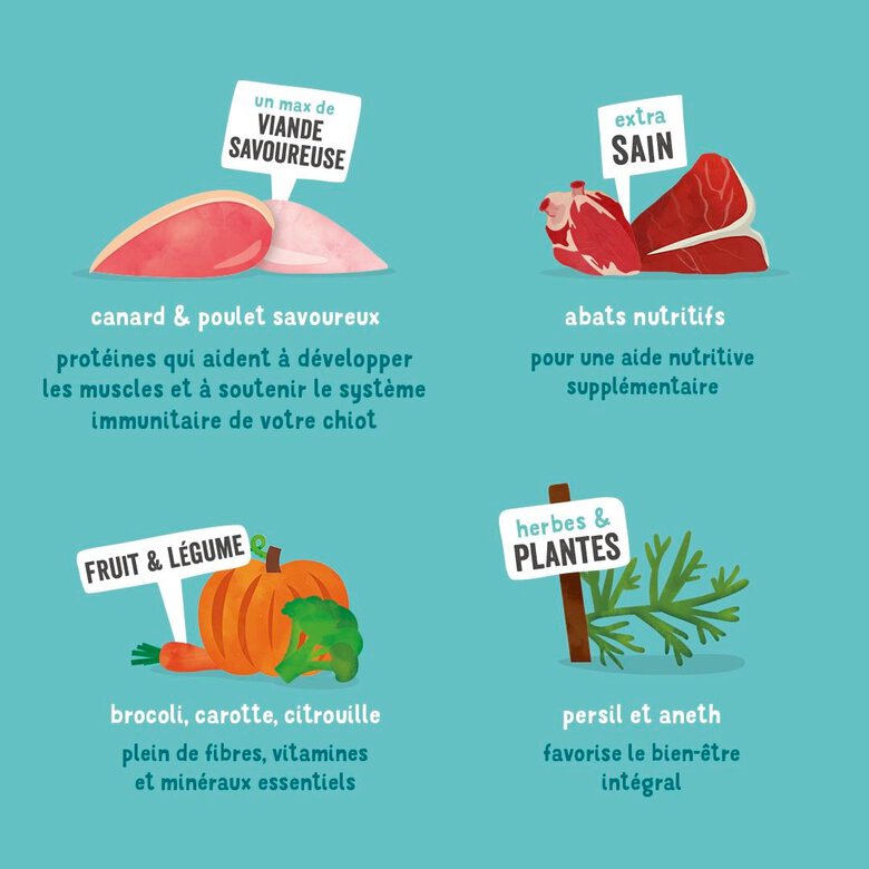 Edgard & Cooper - Barquette au Canard et Poulet pour Chiot - 150g Image numéro 4 Edgard & Cooper - Barquette au Canard et Poulet pour Chiot - 150g Image numéro 4